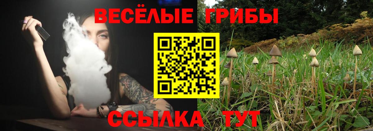 где купить наркоту  Галлюциногенные грибы прущие грибы  Пушкино  Вход с VPN  Псилоцибиновые грибы Magic Shrooms 